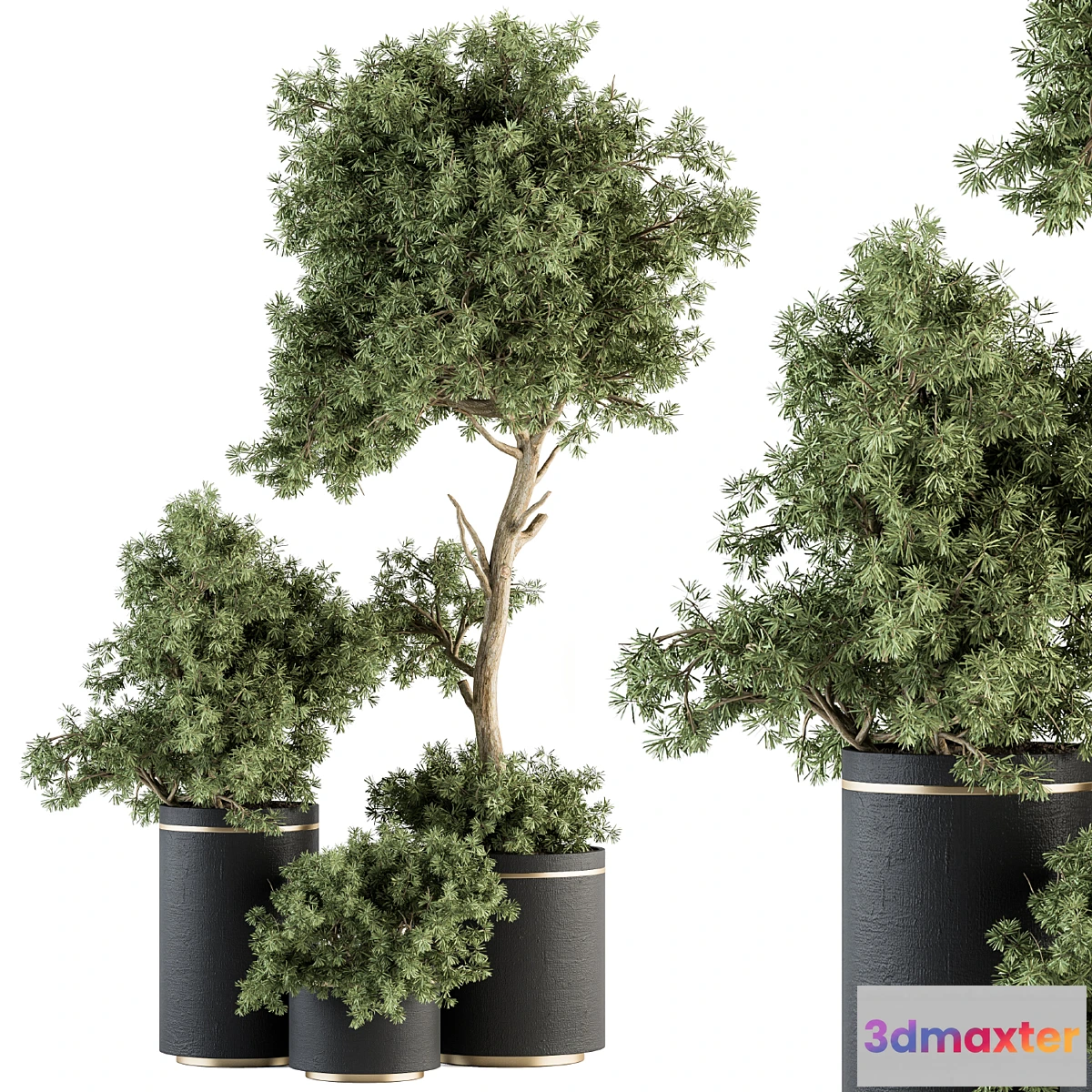 1438600 - indoor Plant Set 344- Tree and Plant Set in pot 3D Max