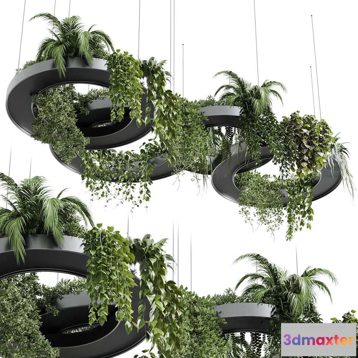 1439168 - Hanging Plants - Indoor plants 309 3D Max