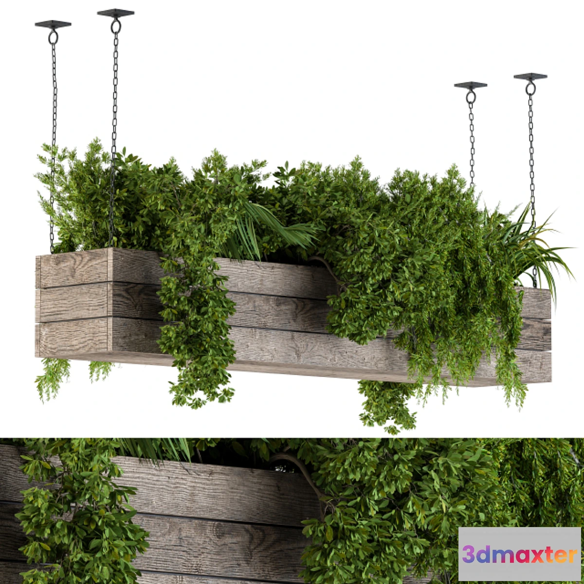 1440260 - Hanging Plants in Wooden Box 3D Max