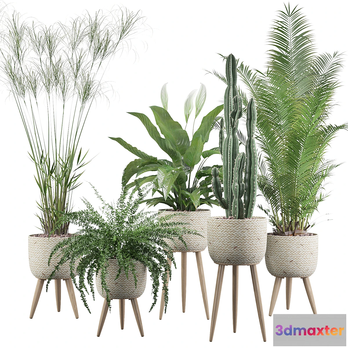 1440472 - Plants collection 052 3D Max