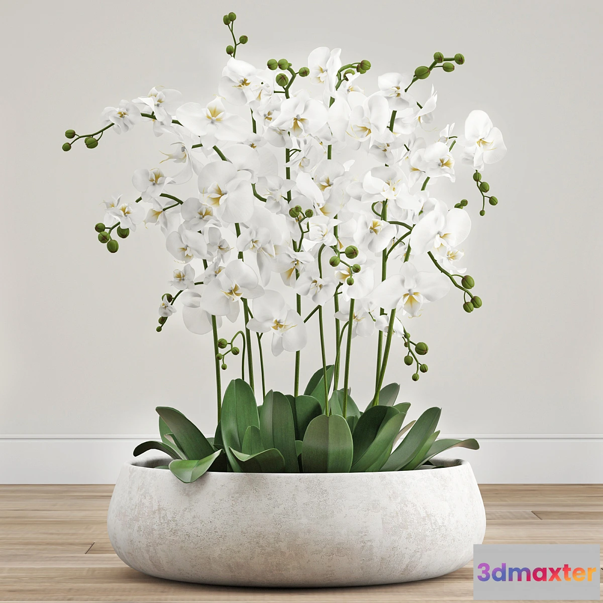 1440546 - Orchid arrangement 3D Max