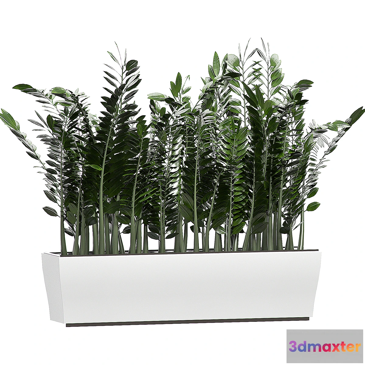 1441874 - INTERIOR FLOWER 86 3D Max