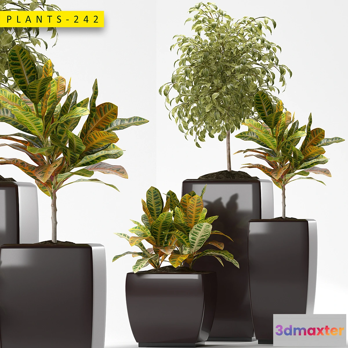 1442114 - Plants 242 3D Max