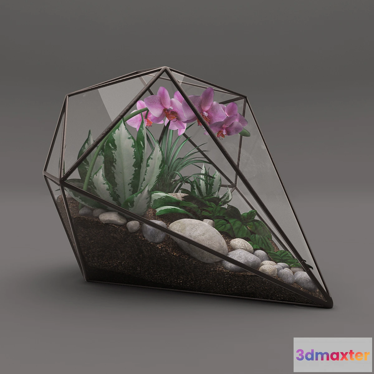 1442226 - floraarium 3D Max