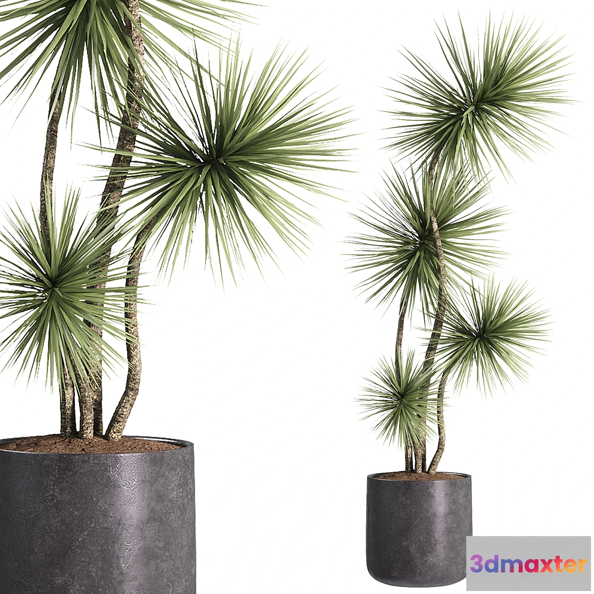 1442550 - indoor plants - 31 plants in pot 3D Max