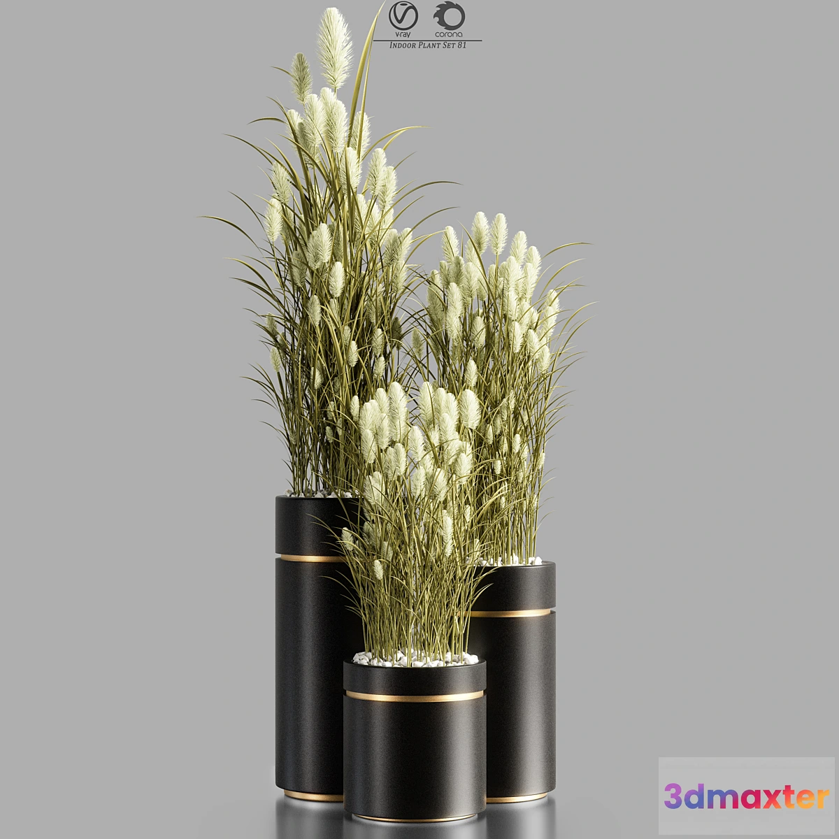 1442814 - Indoor_Plant_Set_81 3D Max