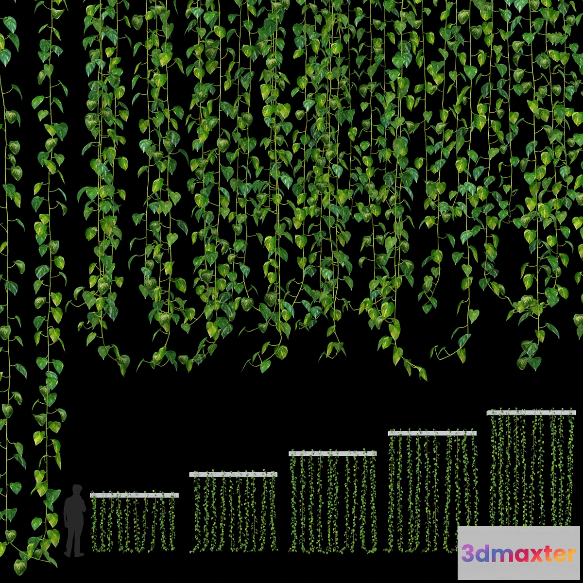 1442976 - Hanging plant 3D Max