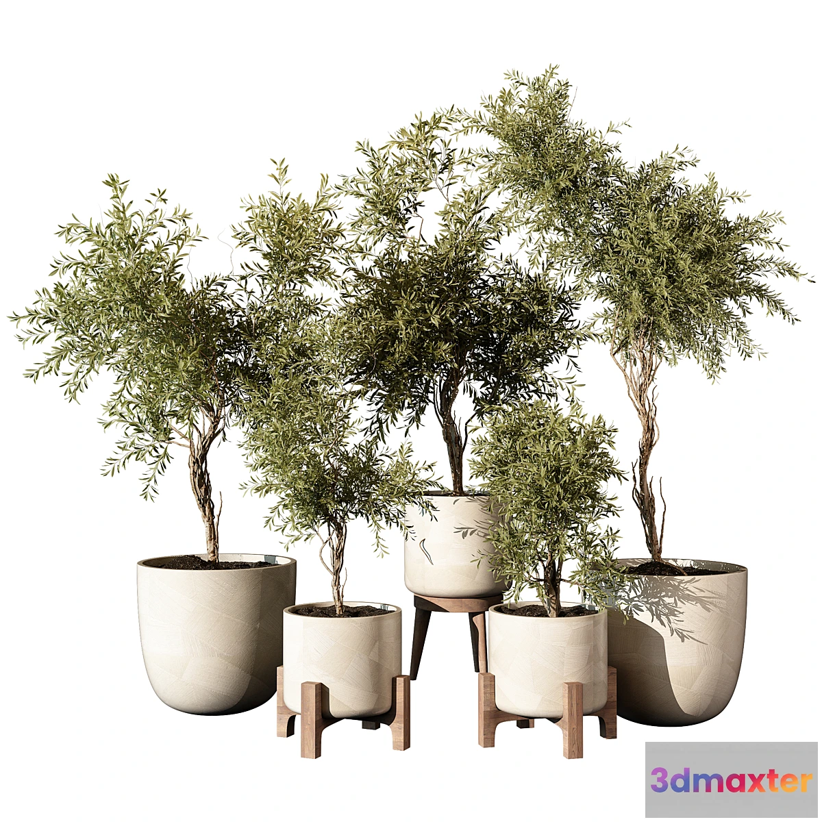 1443616 - indoor Plant 520 3D Max