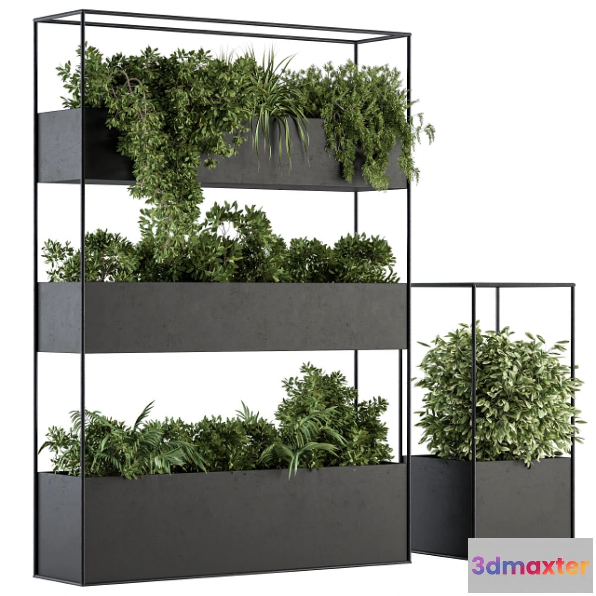 1443850 - Indoor Plant Set 302 - Plant Box Stand 3D Max