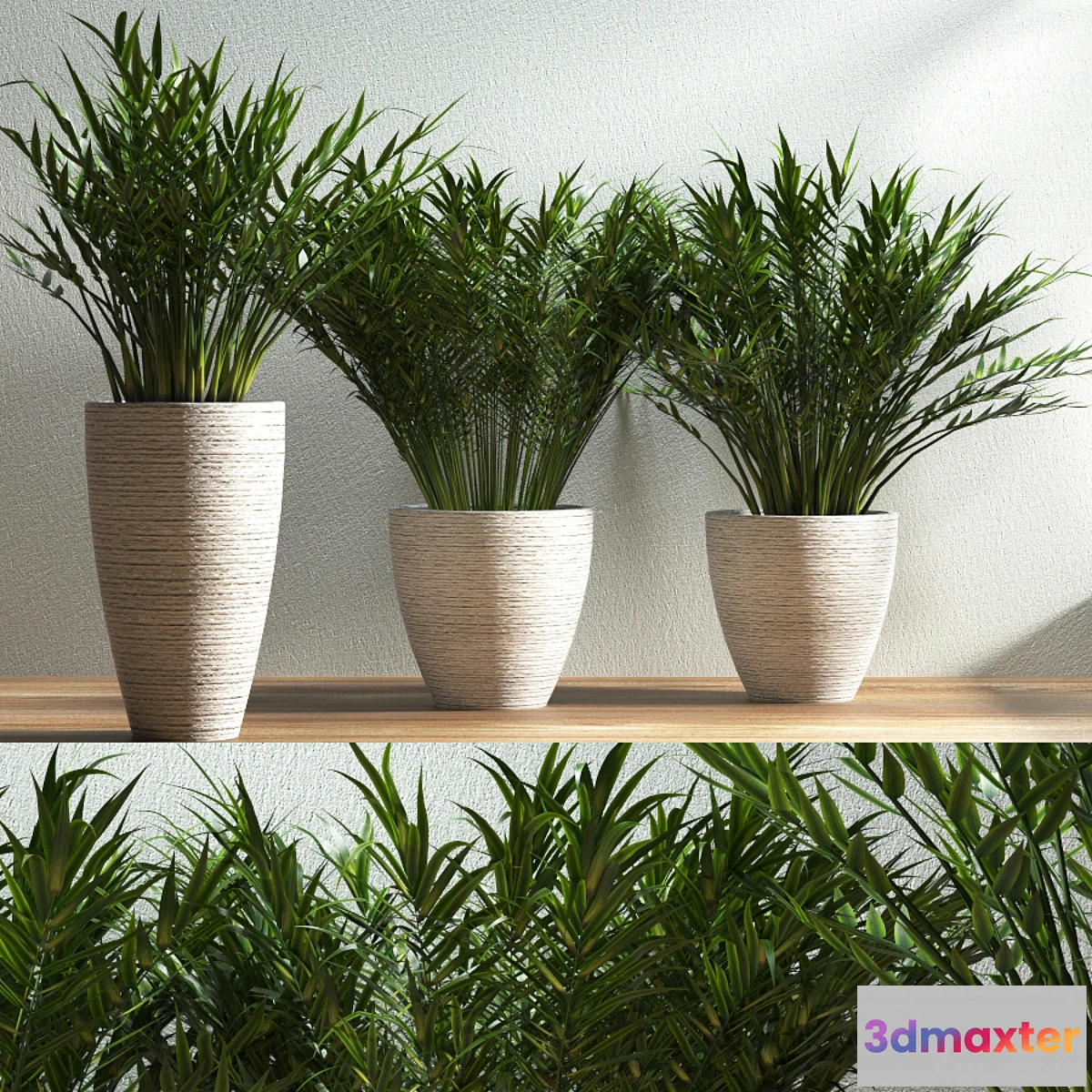 1444968 - plant 38 3D Max