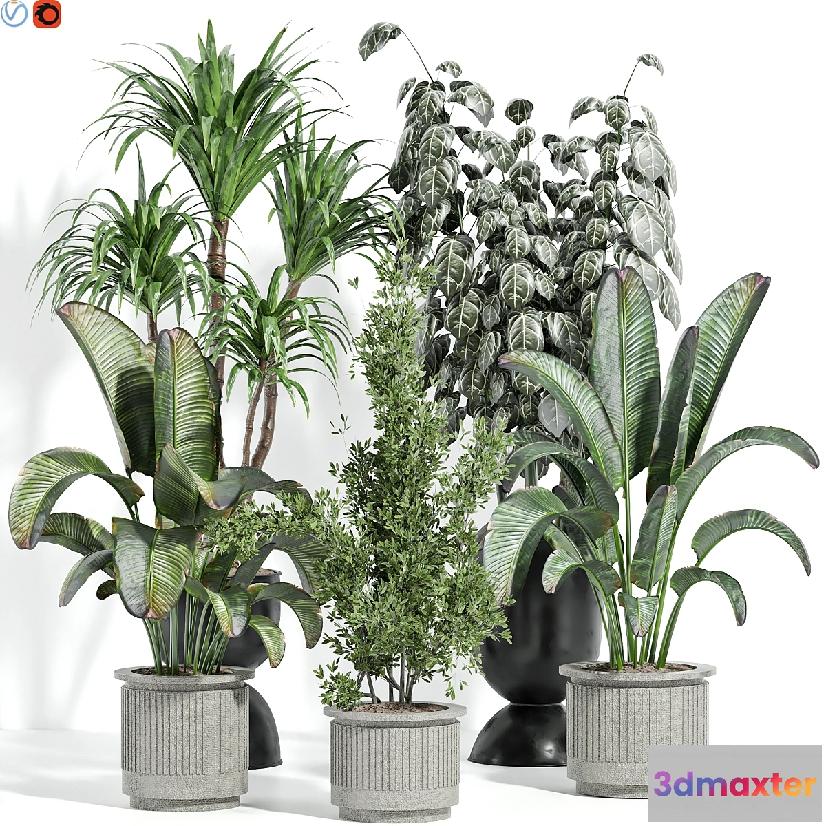 1445364 - Indoor plants 42 3D Max