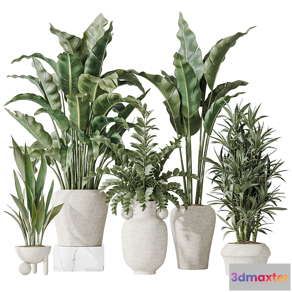 1445400 - Indoor plant set 21 3D Max