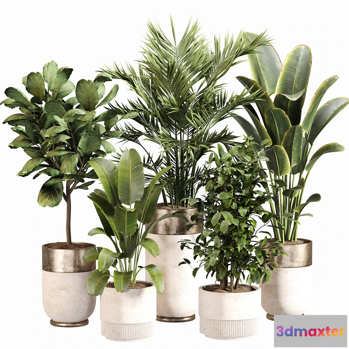 1445824 - Indoor Plant Set 052 3D Max