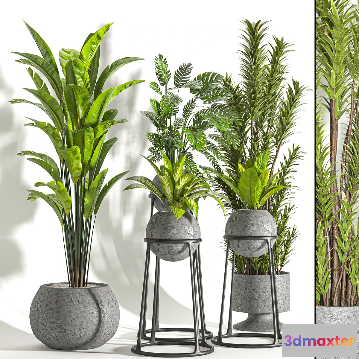 1446584 - Collaction Indoor plant vol 31 3D Max