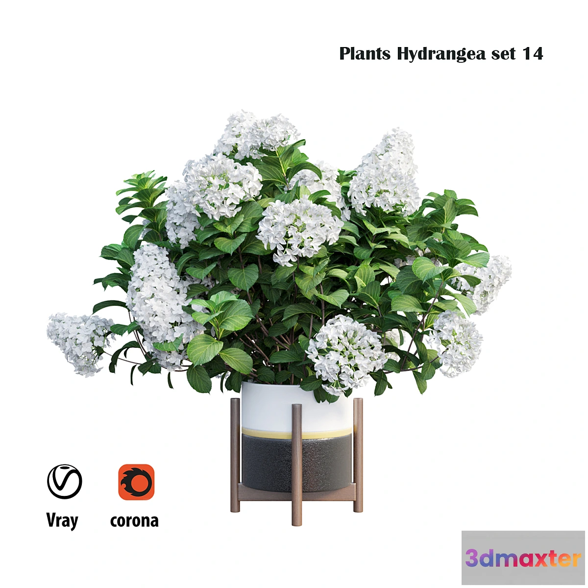 1448362 - Plants Hydrangea set 14 3D Max
