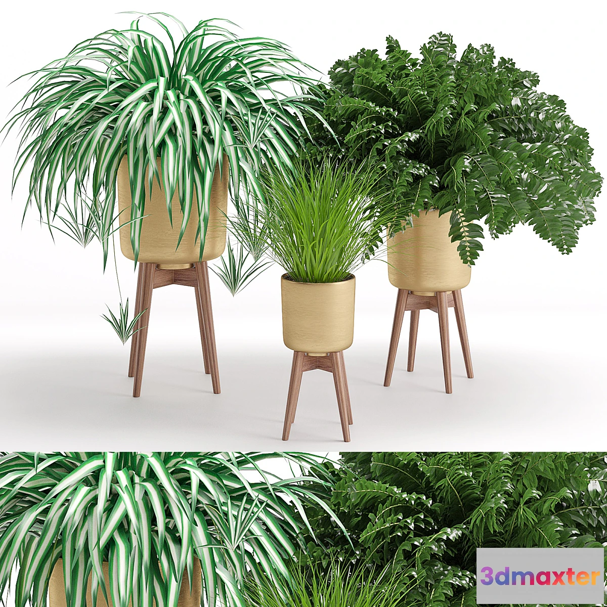 1448414 - Houseplant 30 3D Max