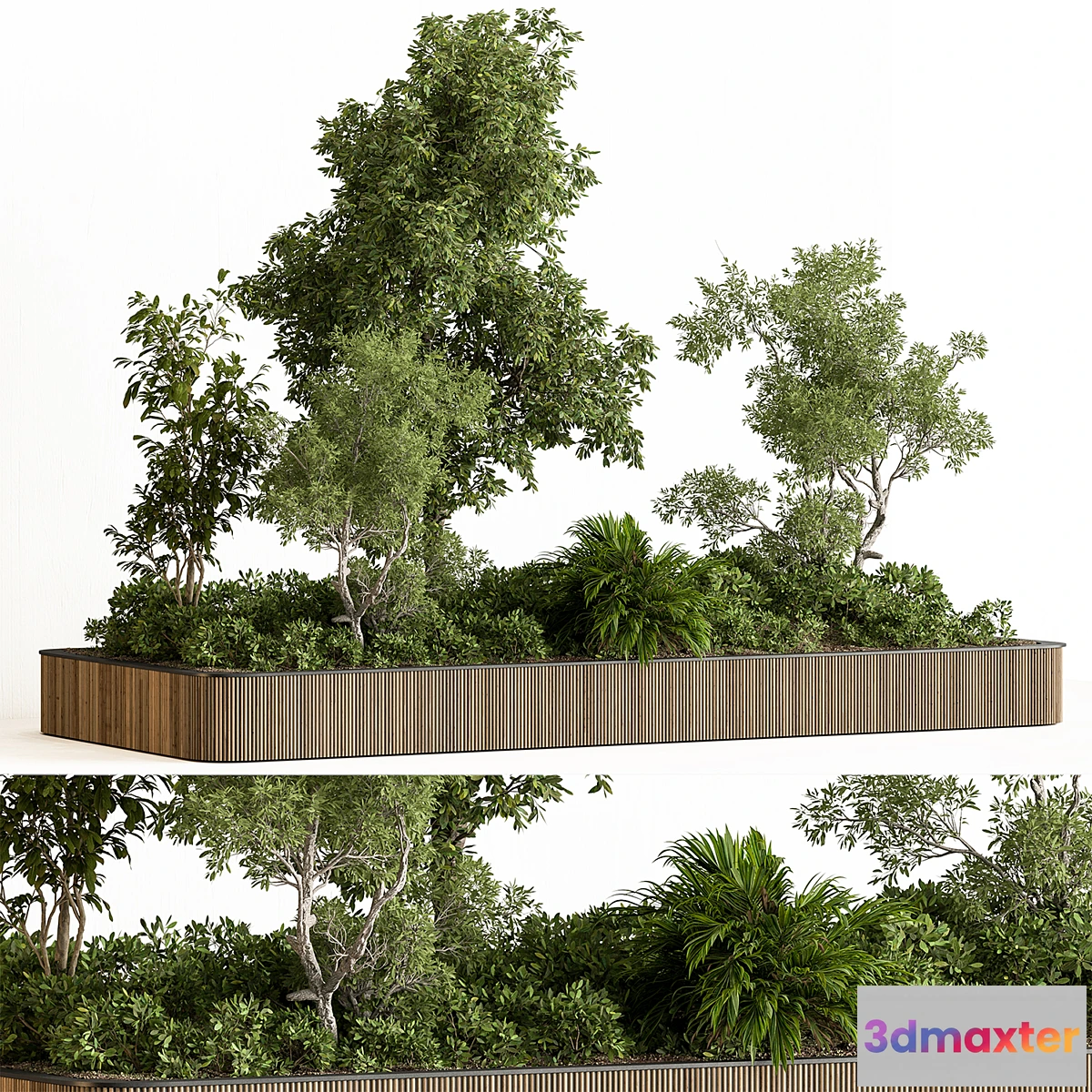 1448648 - Indoor Plant 750 - Plant Box 3D Max