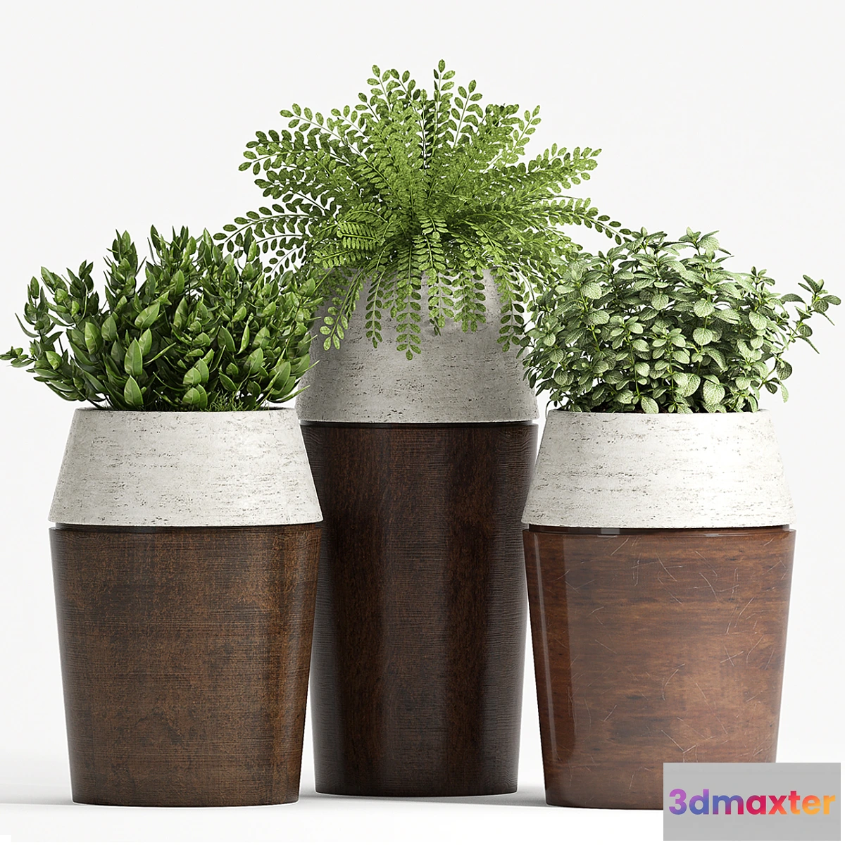 1448816 - PLANT SET -84 3D Max