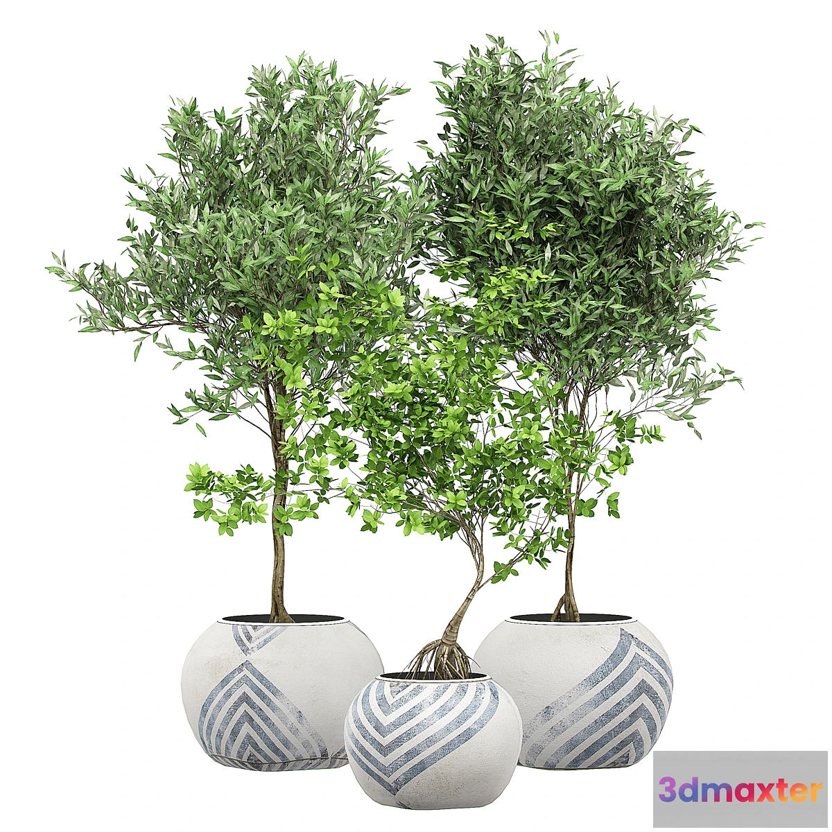 1448976 - Flower pack 130 3D Max