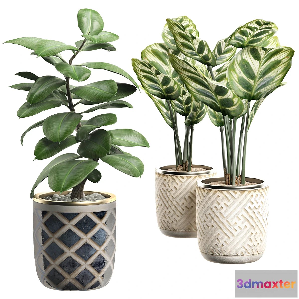 1449442 - INTERIOR FLOWER PACK 9 - Window placing plants 3D Max