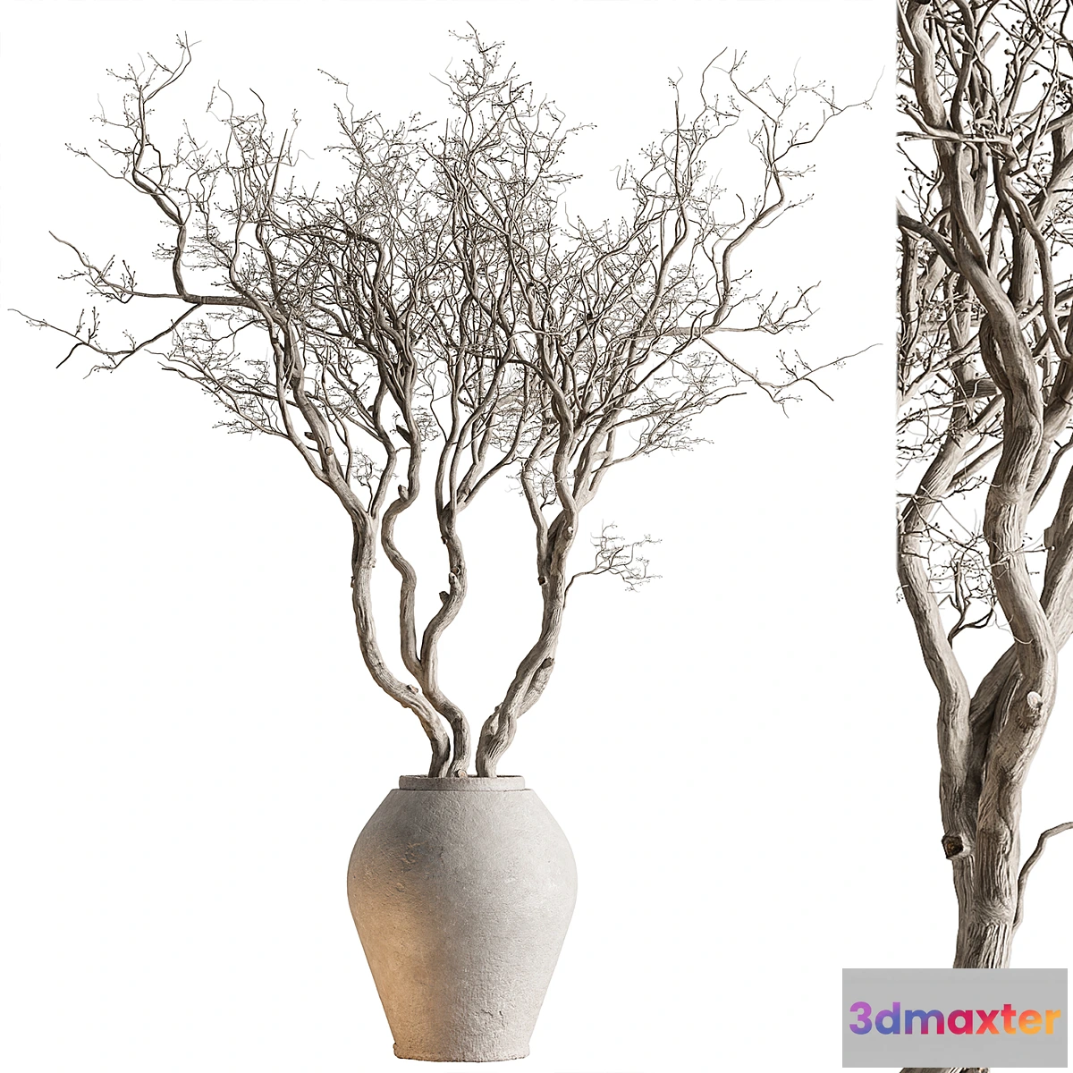 1450768 - Indoor Plant 703 - Dry Tree 3D Max