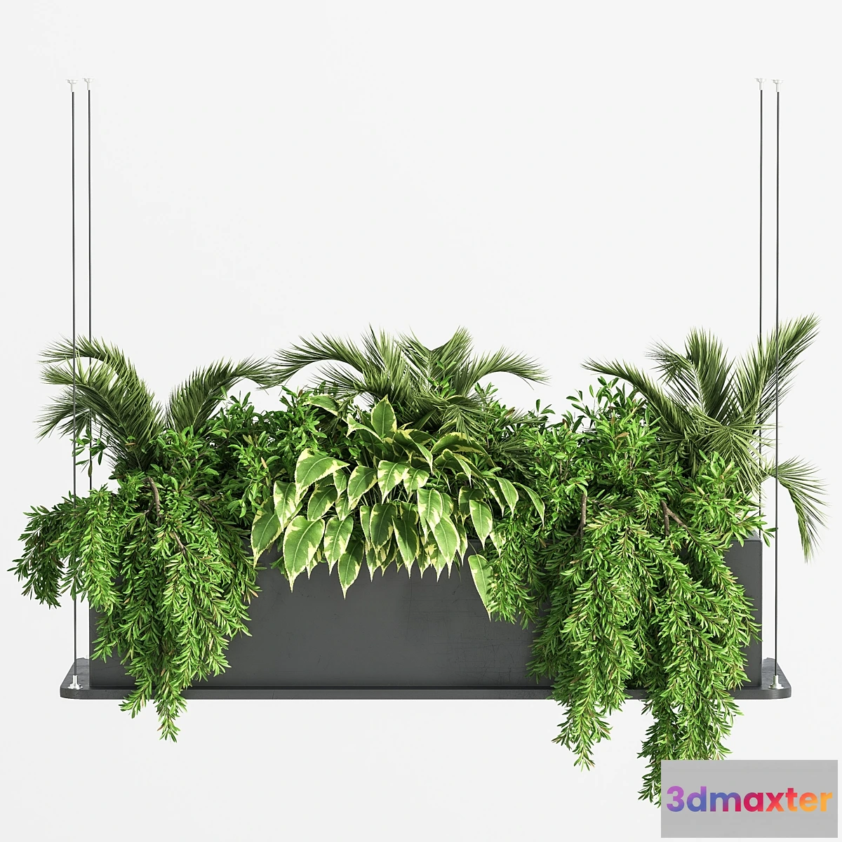 1452300 - Indoor_Plant_Set_32_ (Hanging_Plants) 3D Max
