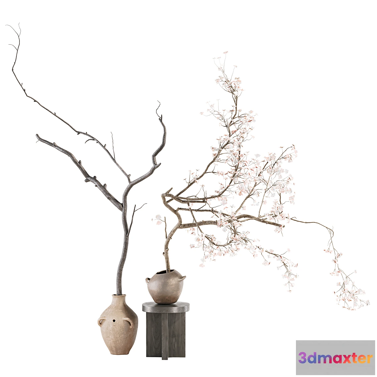 1452392 - Indoor Plant 03 3D Max