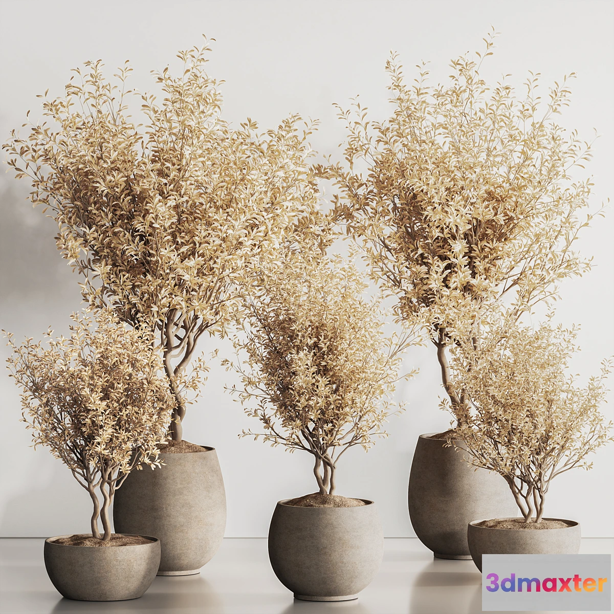 1452586 - Indoor Plant Set 134_Dry Plants 3D Max