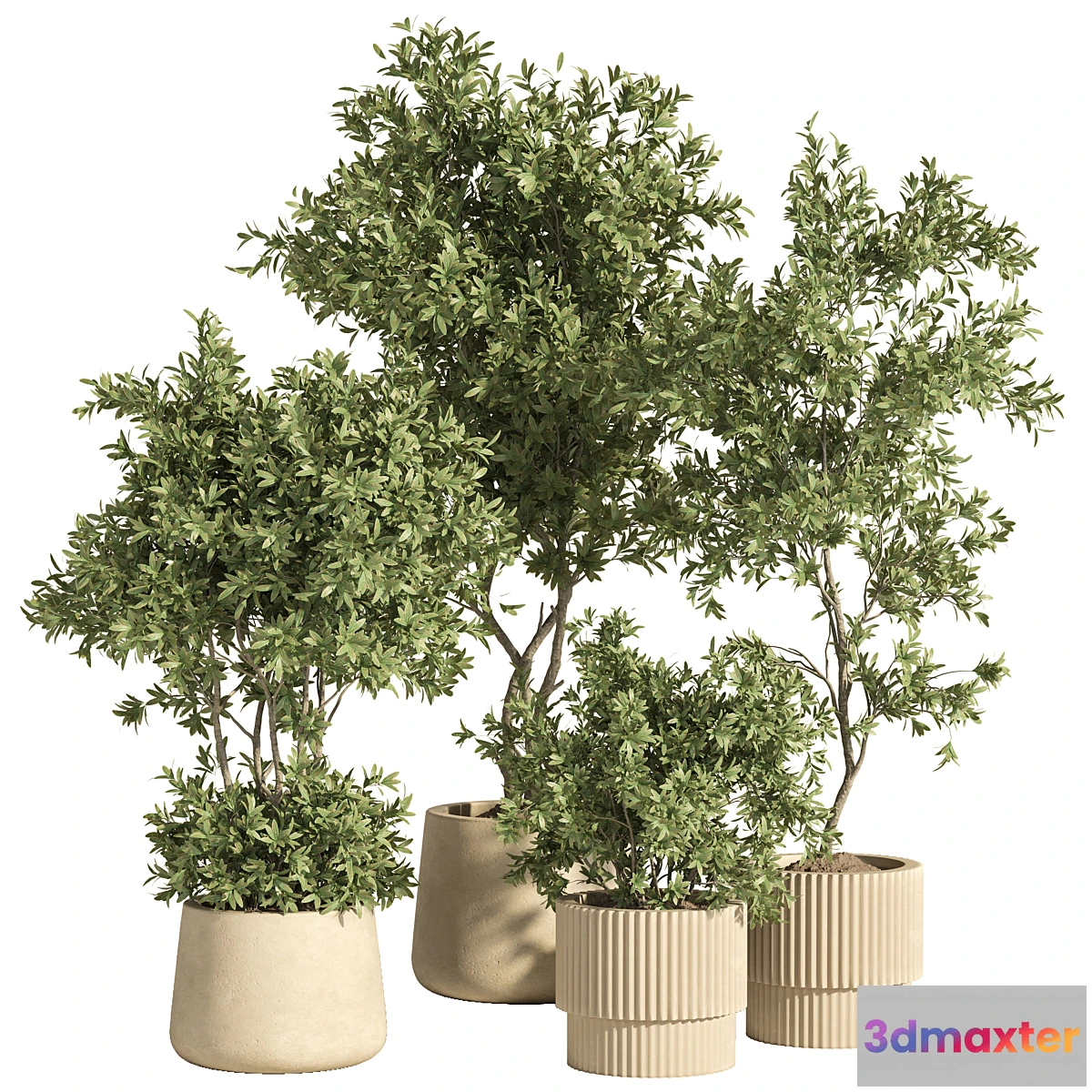 1452640 - indoor plant set 74 3D Max