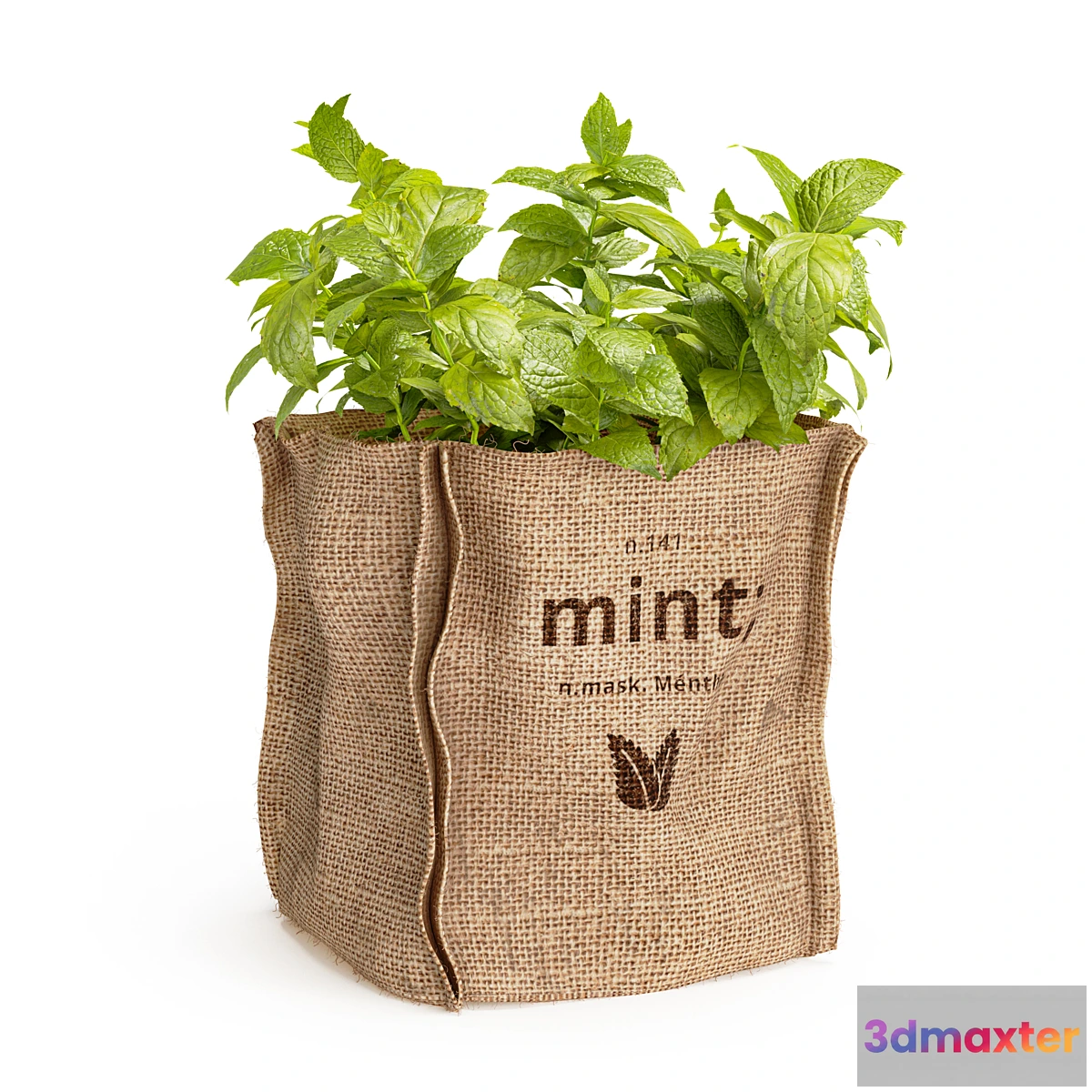 1453106 - Mint in a burlap pot 3D Max
