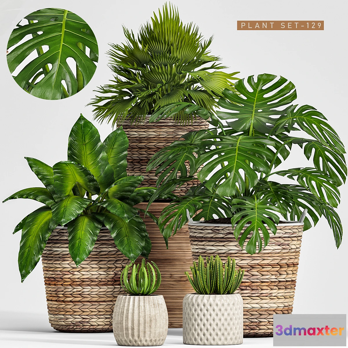 1454290 - plant set 128 3D Max