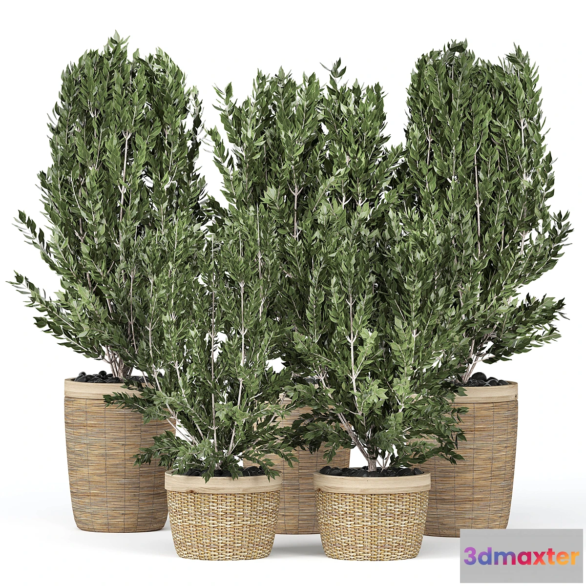 1454532 - Flower Pack 195C 3D Max