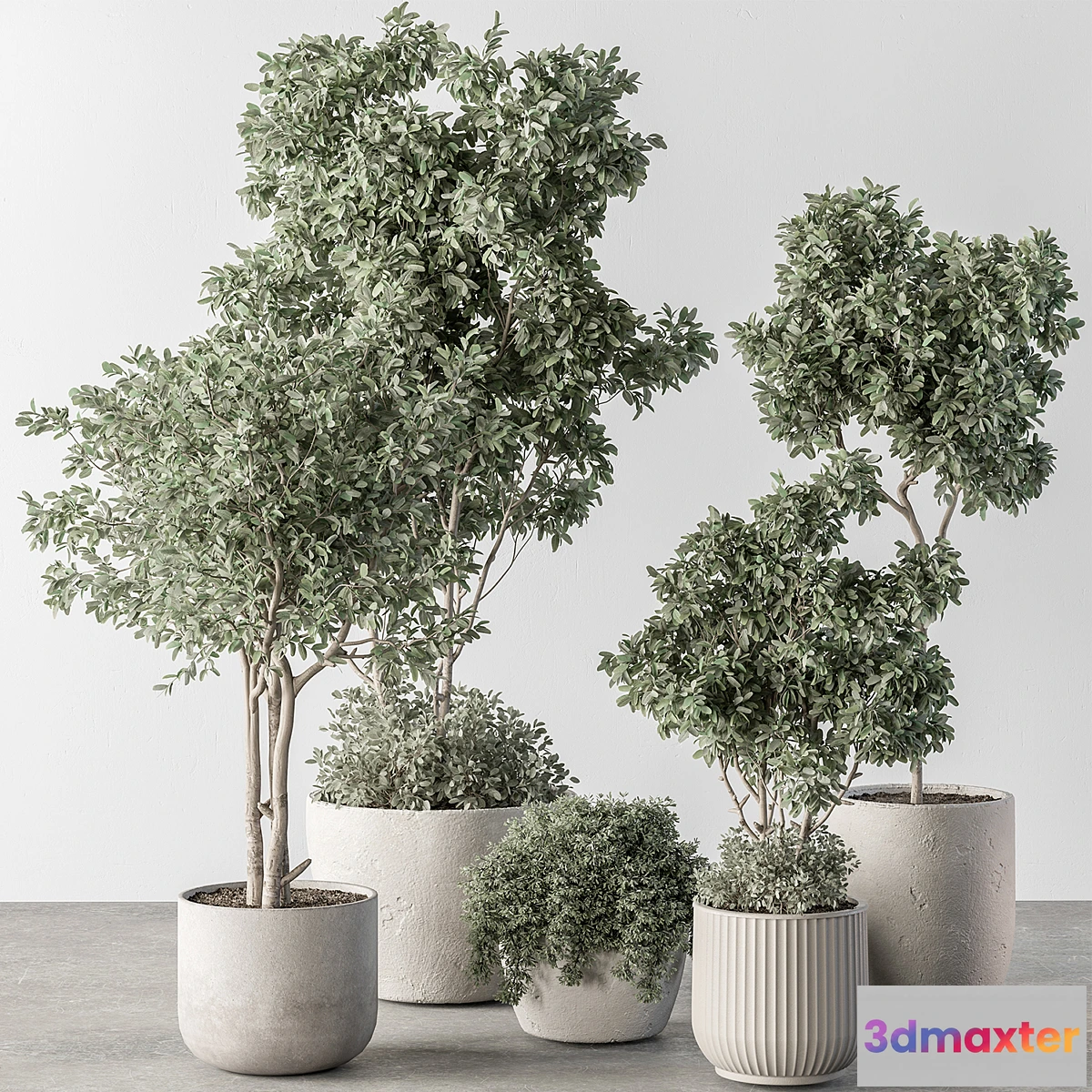 1455078 - Indoor Plant 634 -Tree in Pot 3D Max