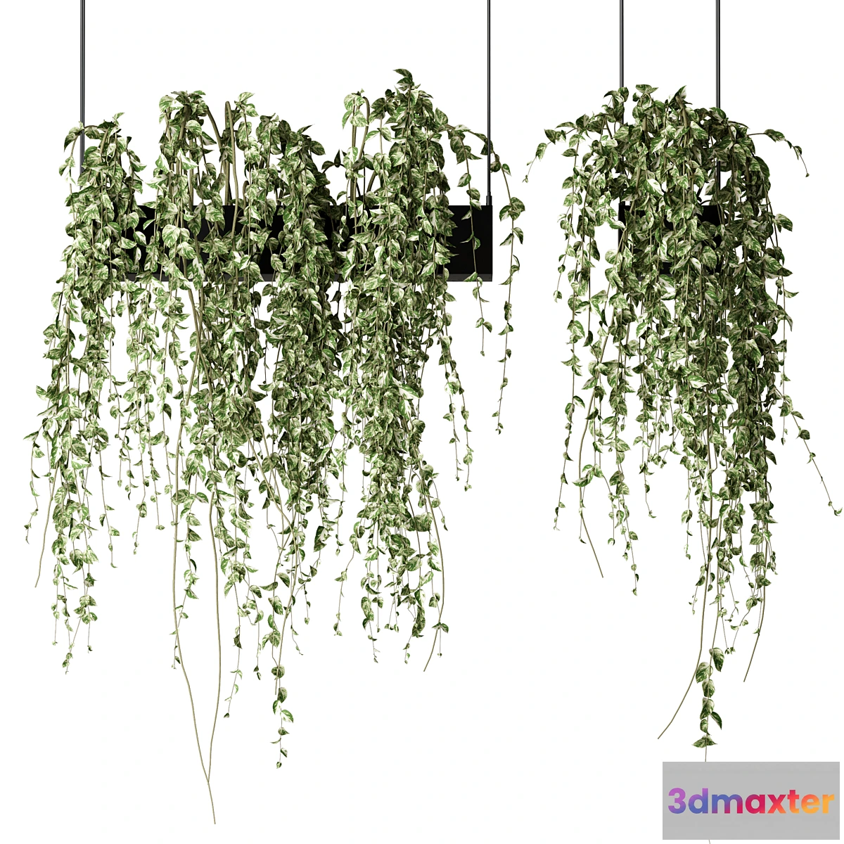1455908 - Bouquet Collection 08 - Decorative Hanging Plants 3D Max