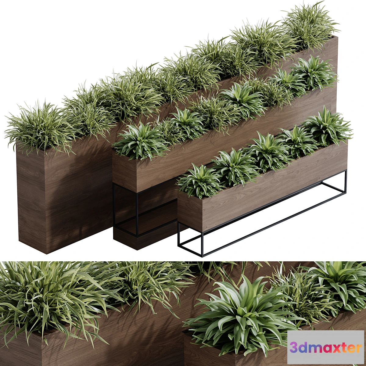 1456978 - indoor plant set 65 3D Max