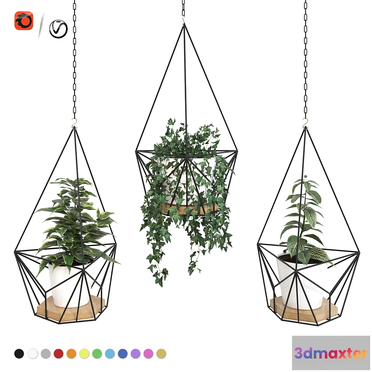 1457714 - Plants in hanging planters ARCHPOLE Shuttle2 3D Max