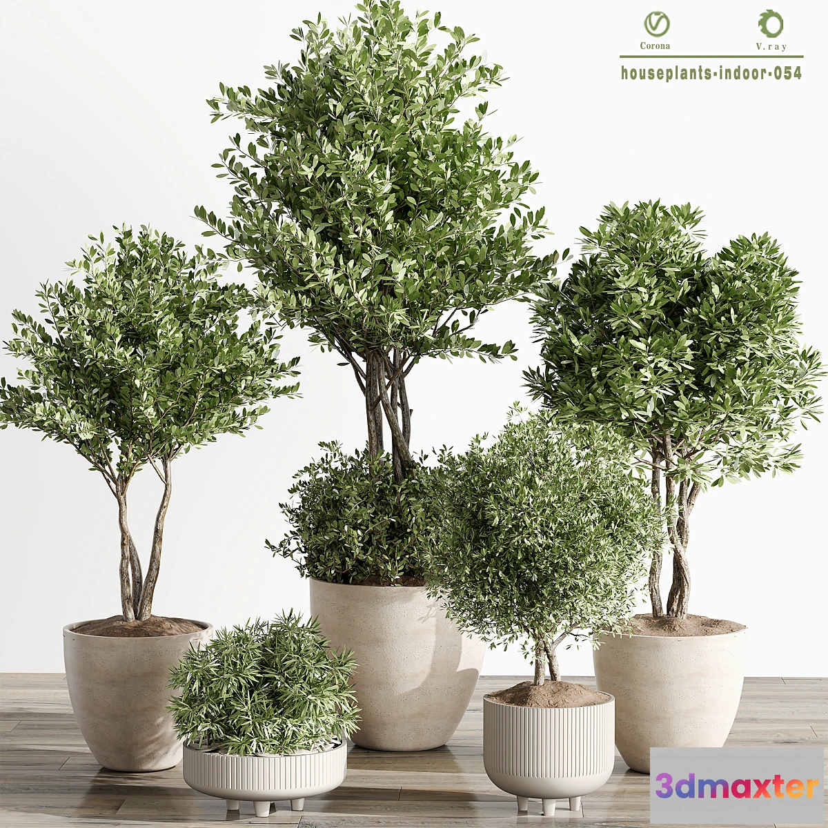 1457746 - indoor Plant 054 Tree and Bush 3D Max