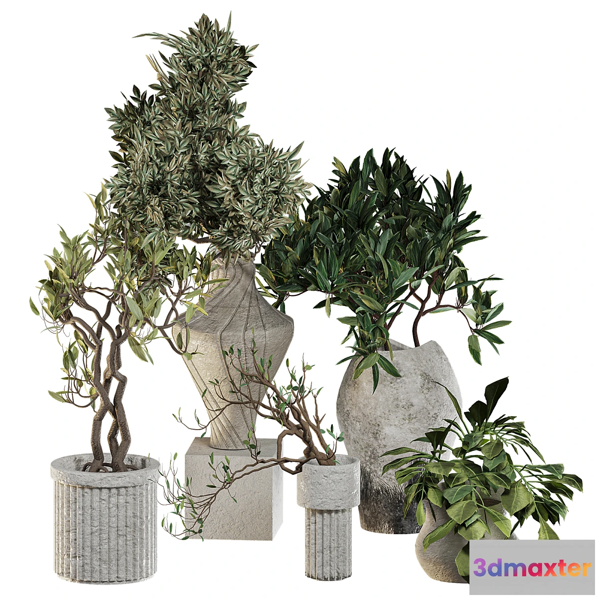 1457754 - Plants in ceramic pots 3D Max