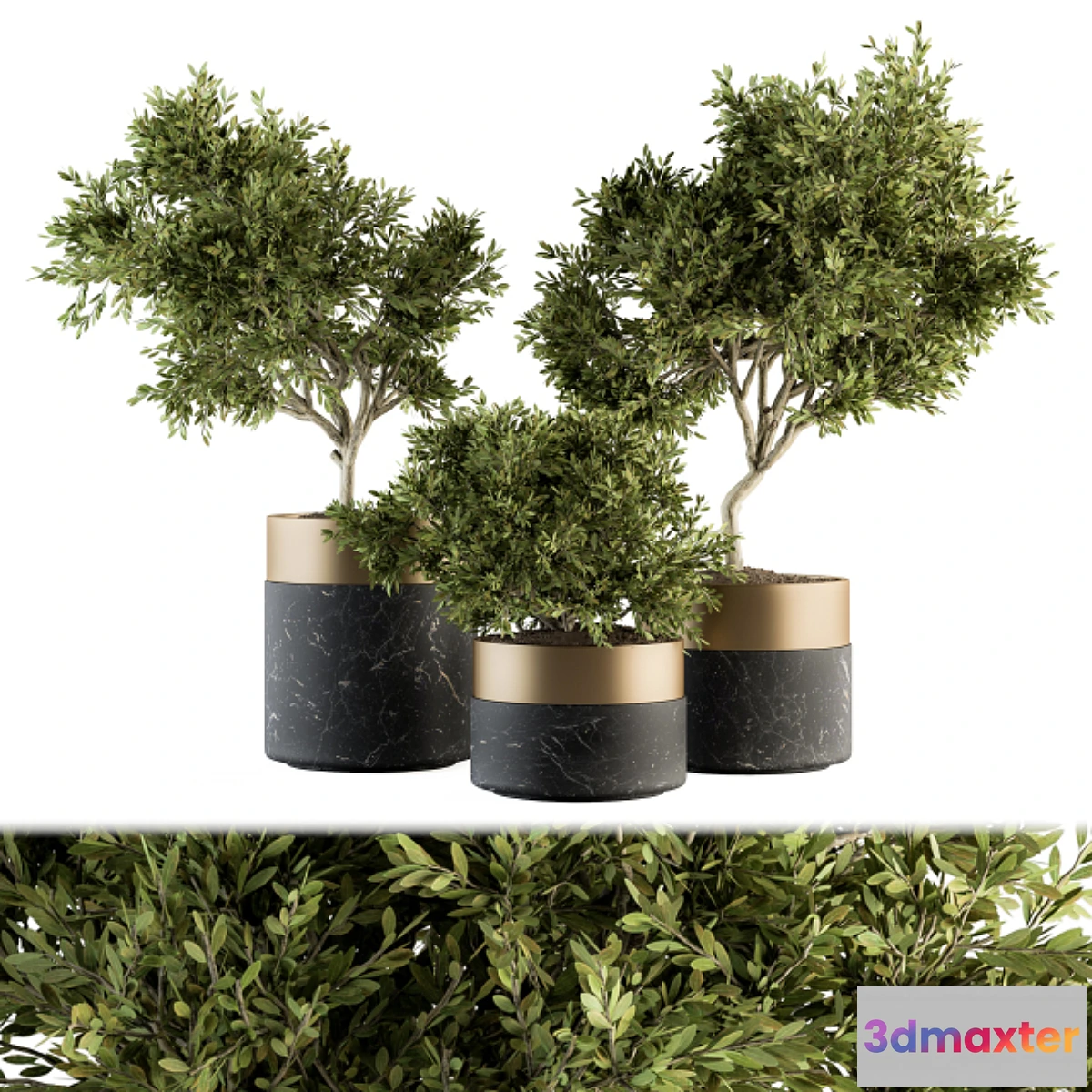 1458488 - indoor Plant Set 127 - Plant in Pot 3D Max