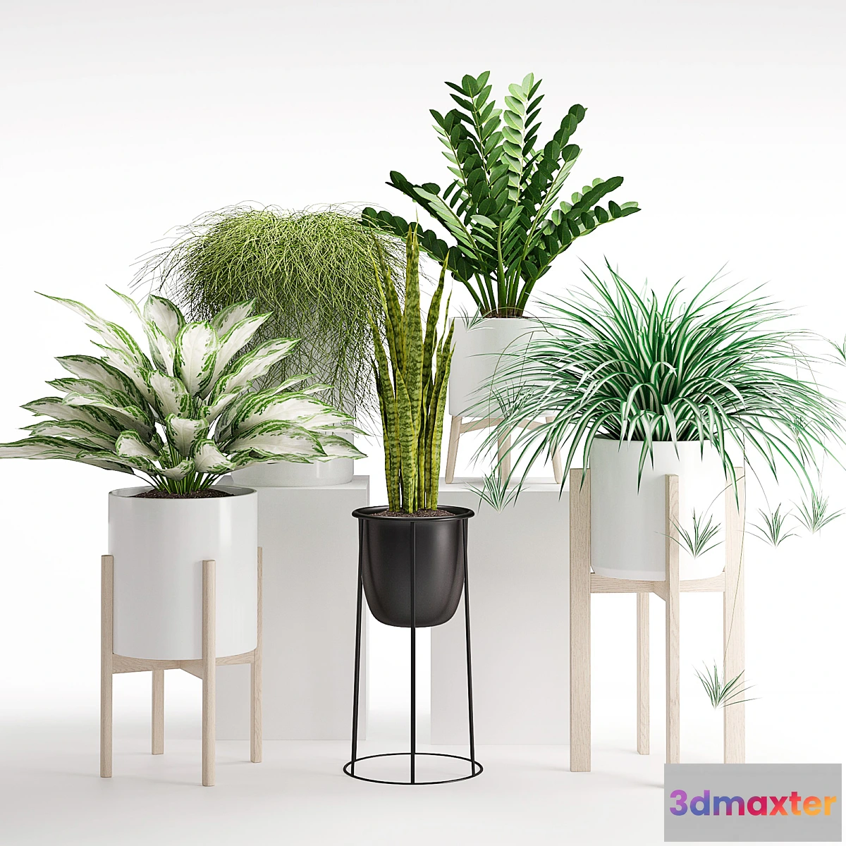 1459168 - Houseplant 23 3D Max