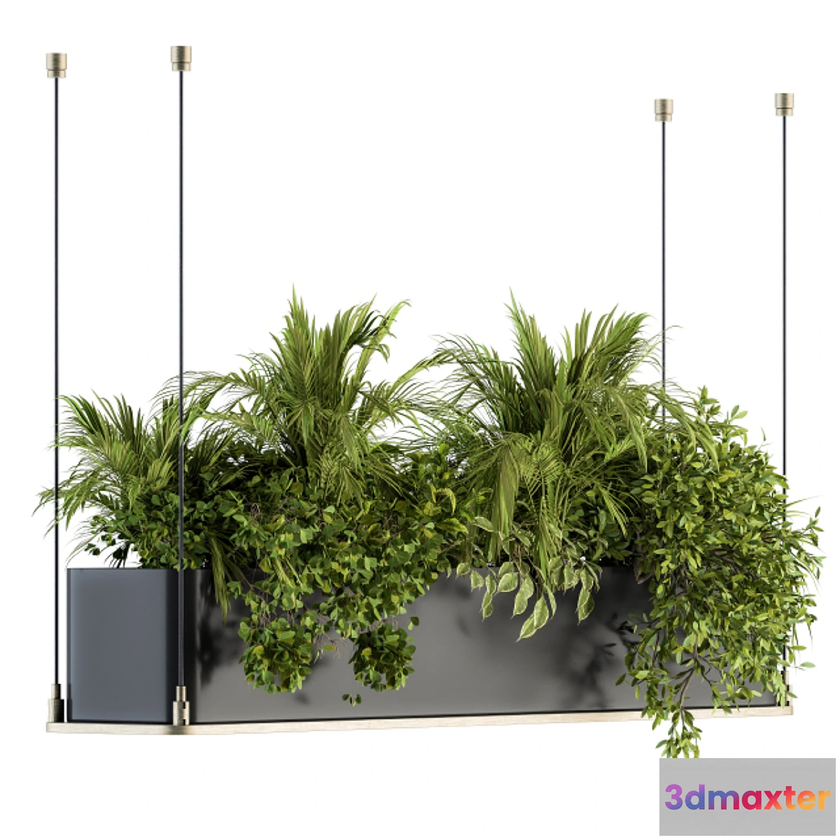 1459172 - indoor Plant Set 218 - Hanging Plants 3D Max