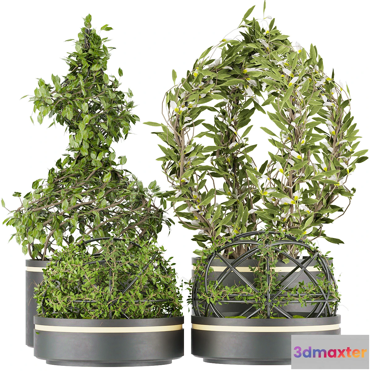 1459208 - Collection plant vol 32 3D Max