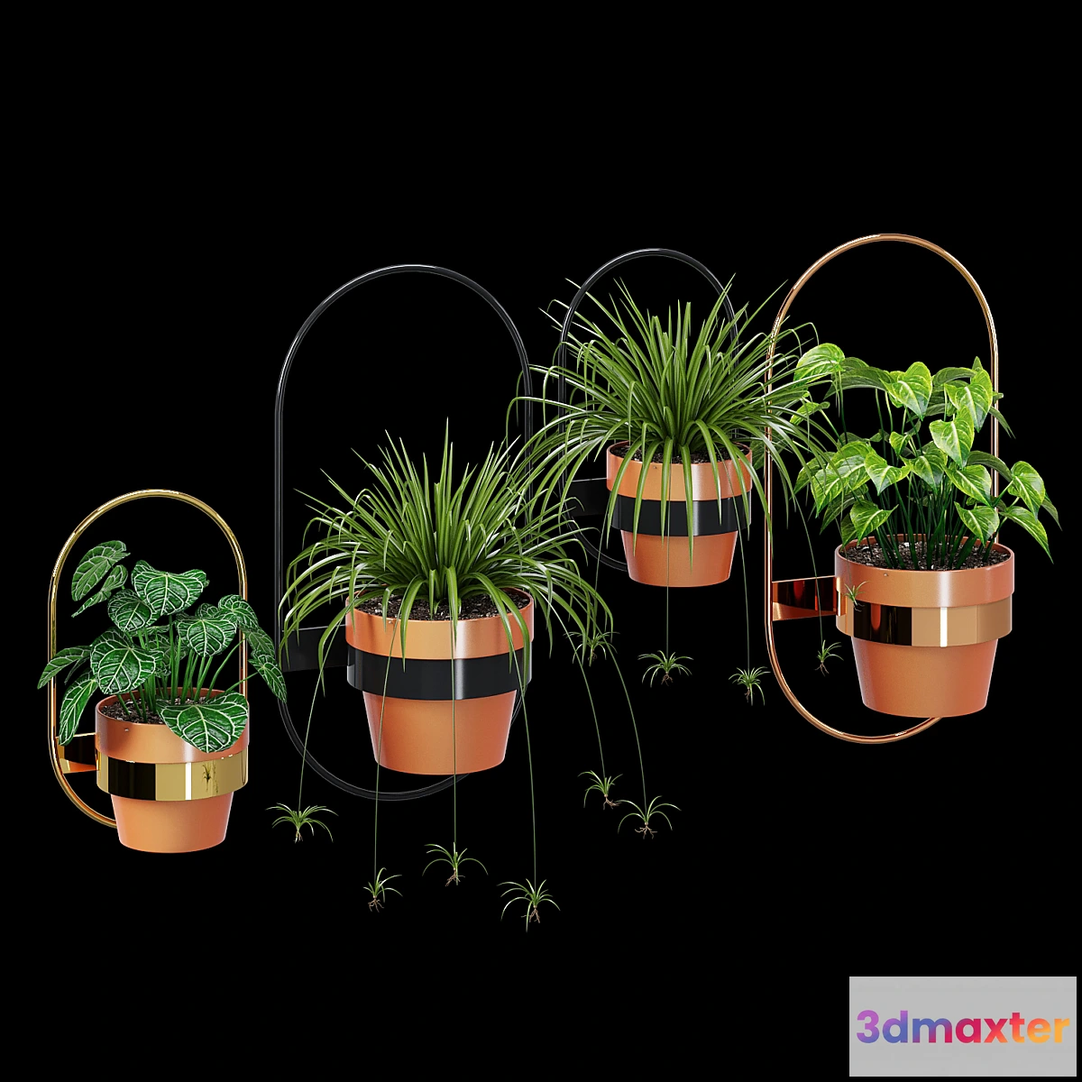 1459786 - Wall planters oval 3D Max