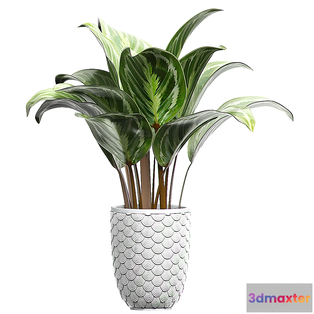 1460312 - INTERIOR FLOWER 87 3D Max