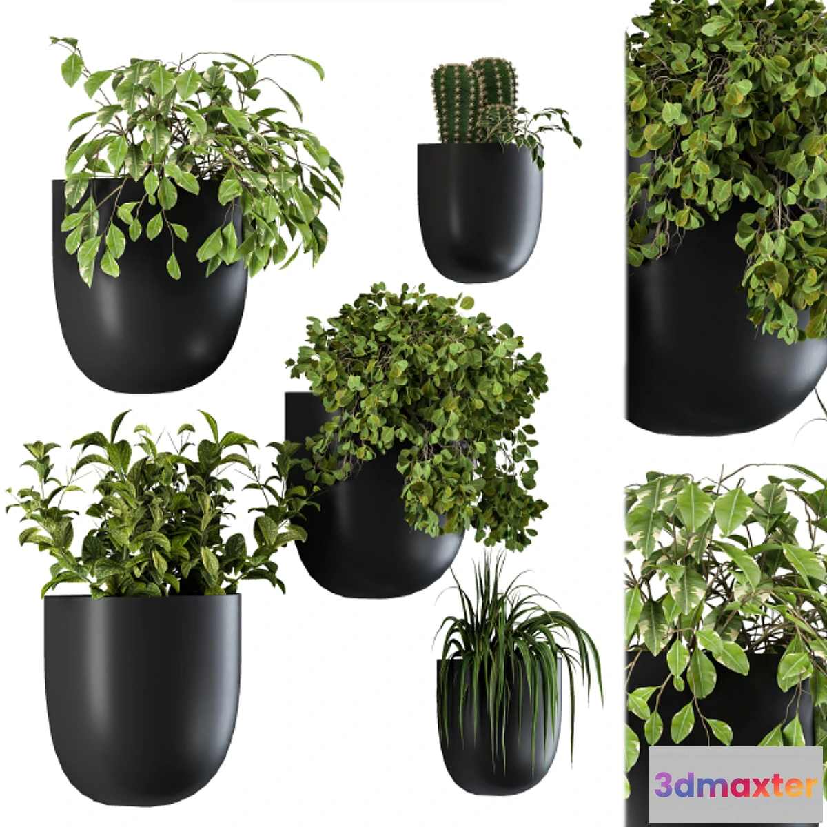 1461552 - Plant Box on Wall 01 3D Max