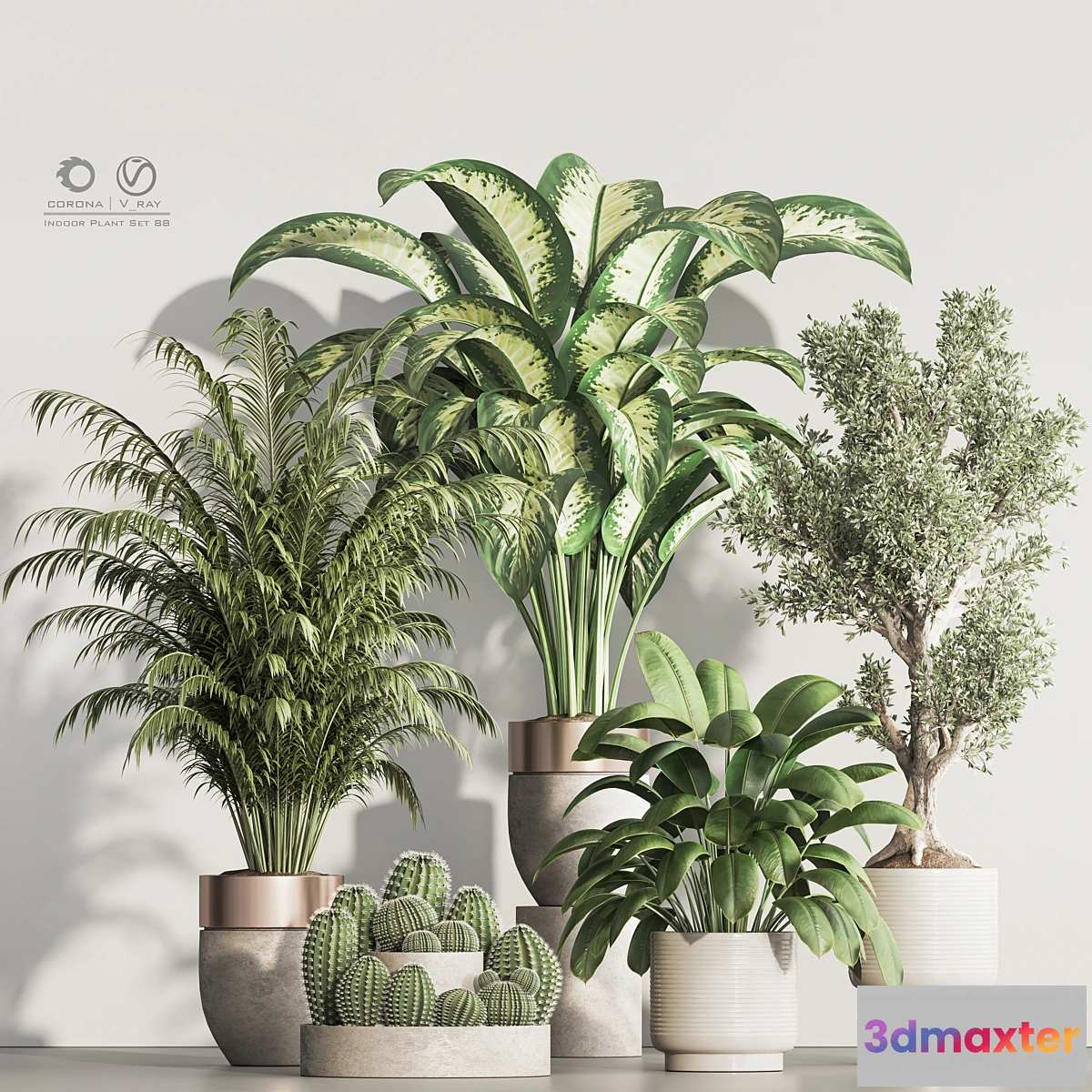 1462786 - Indoor Plant Set 88 3D Max