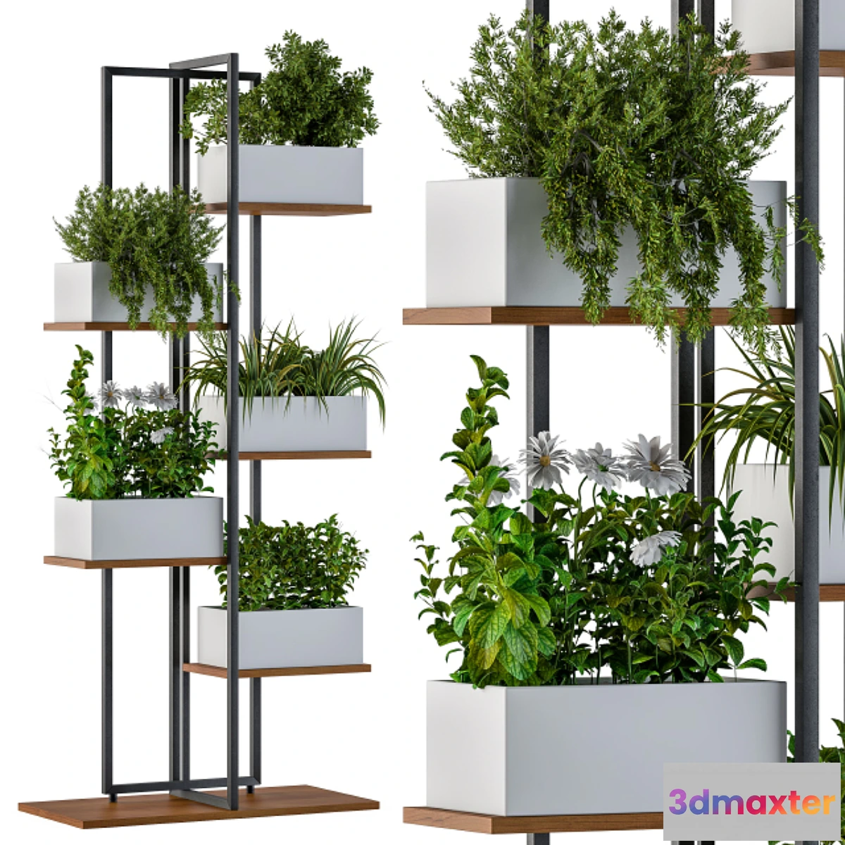 1463020 - White Box Plants on stand 3D Max