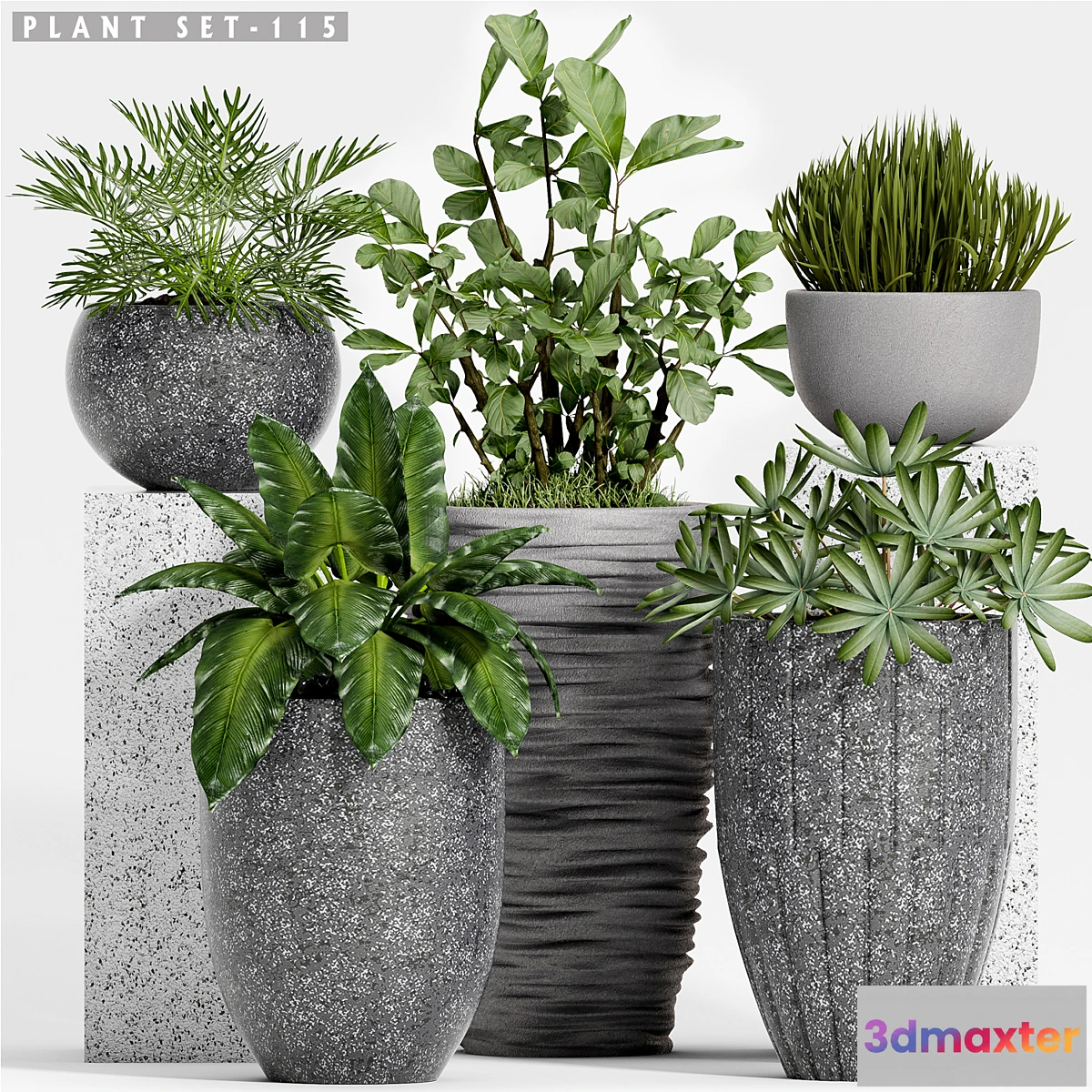 1463230 - Plant set-115 3D Max