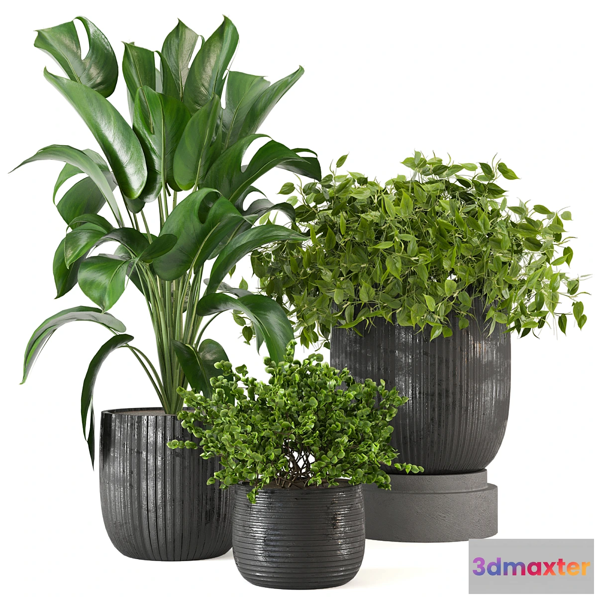 1464032 - Indoor Plants Collection - Set 409 3D Max