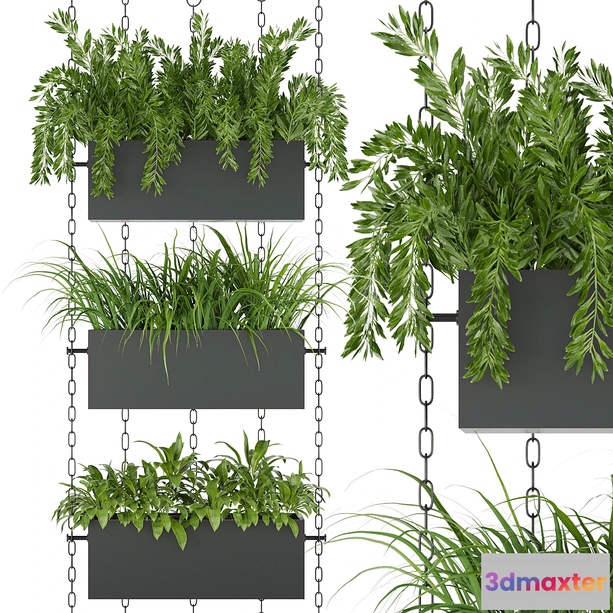 1464290 - Collection plant vol 85 3D Max